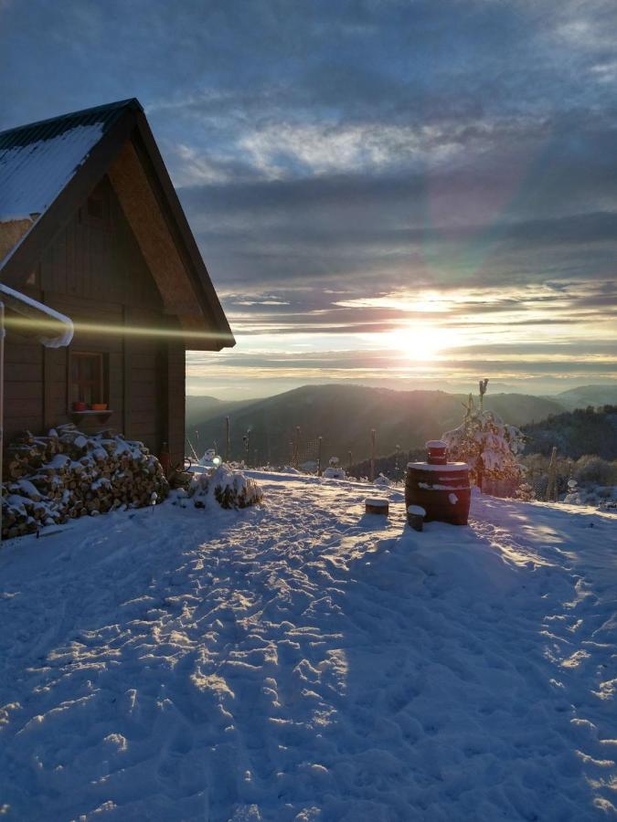 Vila Vikendica Rankovici Mokra Gora Exteriér fotografie