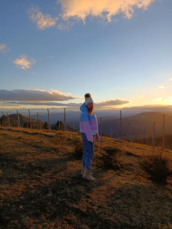 Vila Vikendica Rankovici Mokra Gora Exteriér fotografie