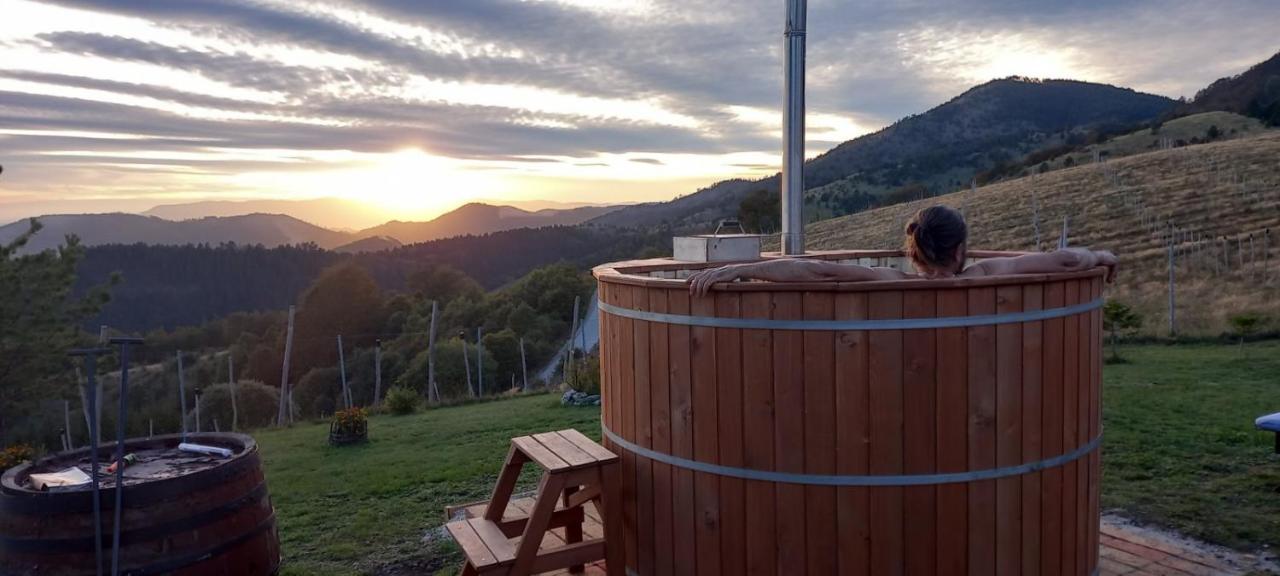 Vila Vikendica Rankovici Mokra Gora Exteriér fotografie