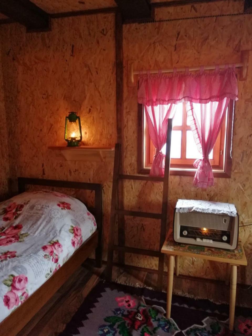 Vila Vikendica Rankovici Mokra Gora Exteriér fotografie