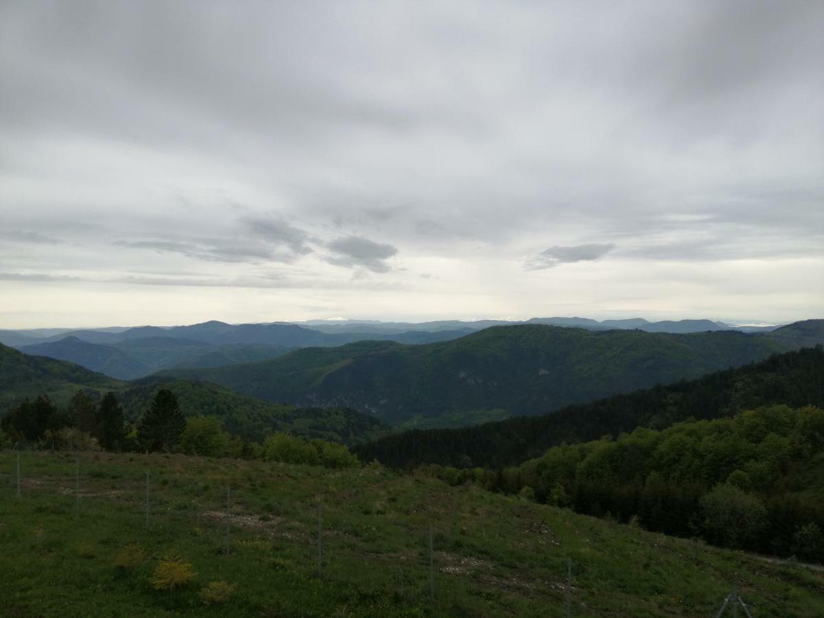 Vila Vikendica Rankovici Mokra Gora Exteriér fotografie