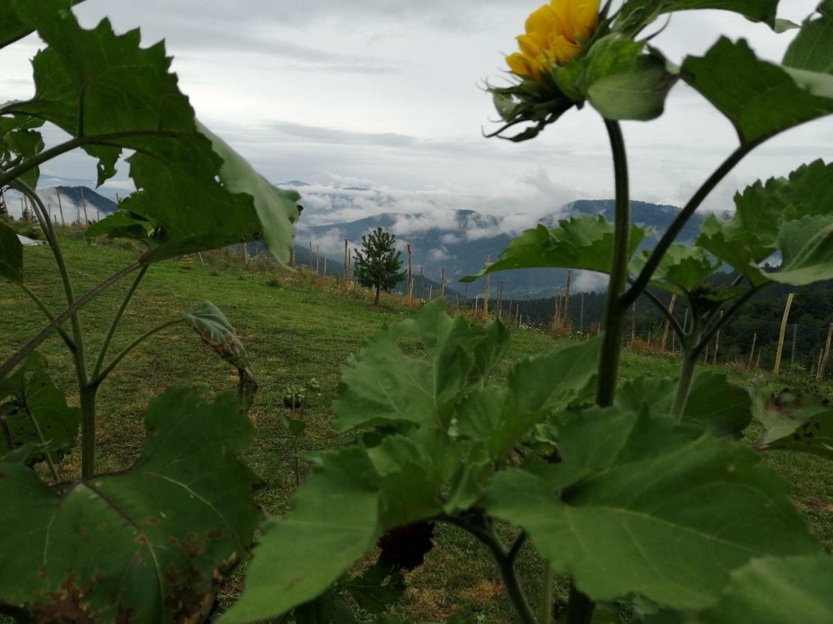 Vila Vikendica Rankovici Mokra Gora Exteriér fotografie