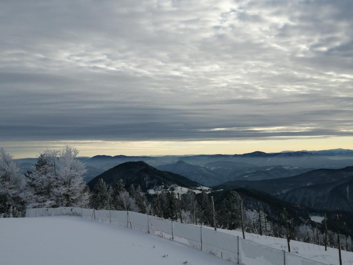 Vila Vikendica Rankovici Mokra Gora Exteriér fotografie