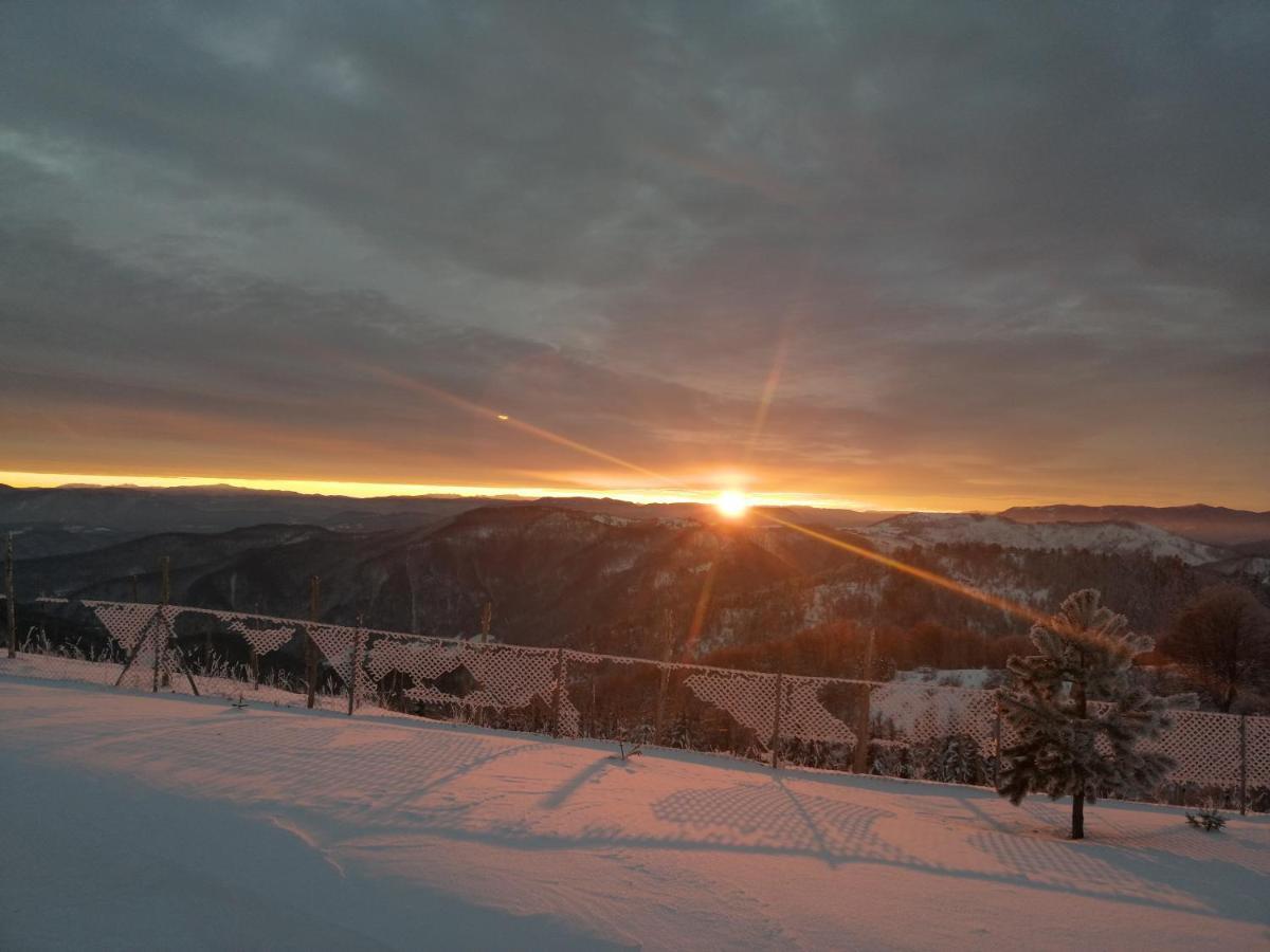 Vila Vikendica Rankovici Mokra Gora Exteriér fotografie