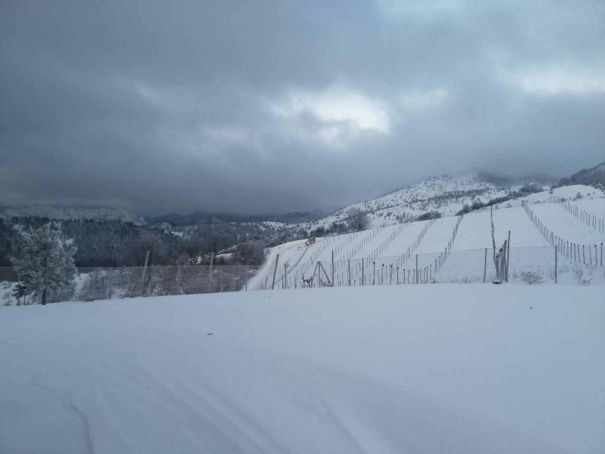 Vila Vikendica Rankovici Mokra Gora Exteriér fotografie