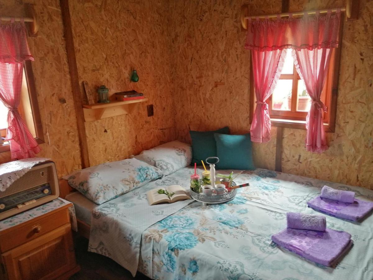 Vila Vikendica Rankovici Mokra Gora Exteriér fotografie