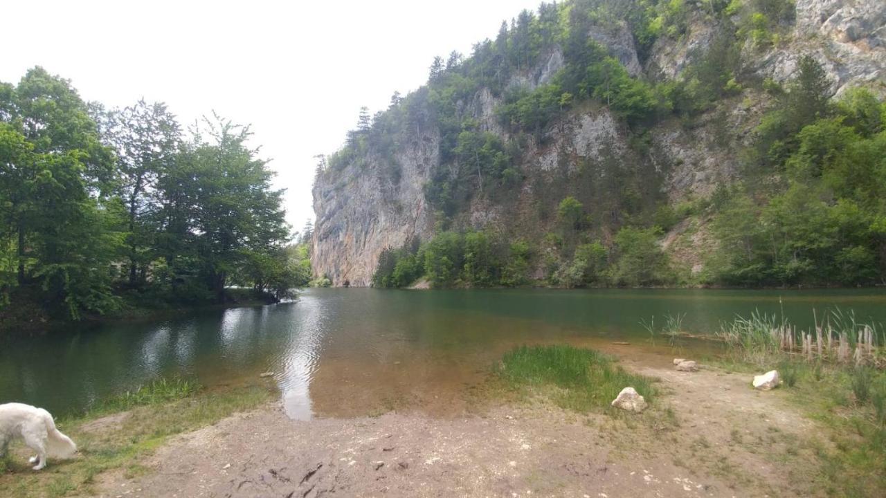Vila Vikendica Rankovici Mokra Gora Exteriér fotografie